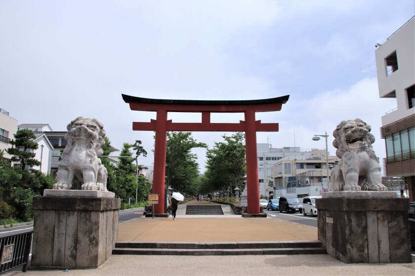 鶴岡八幡宮の花手水と蓮とカワセミ 今日の鎌倉 鶴岡八幡宮の花手水と蓮とカワセミ 今日の鎌倉