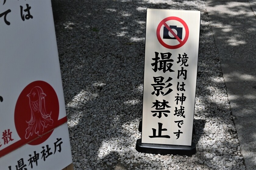 極楽寺のアヤメ 御霊神社 境内撮影禁止 今日の鎌倉