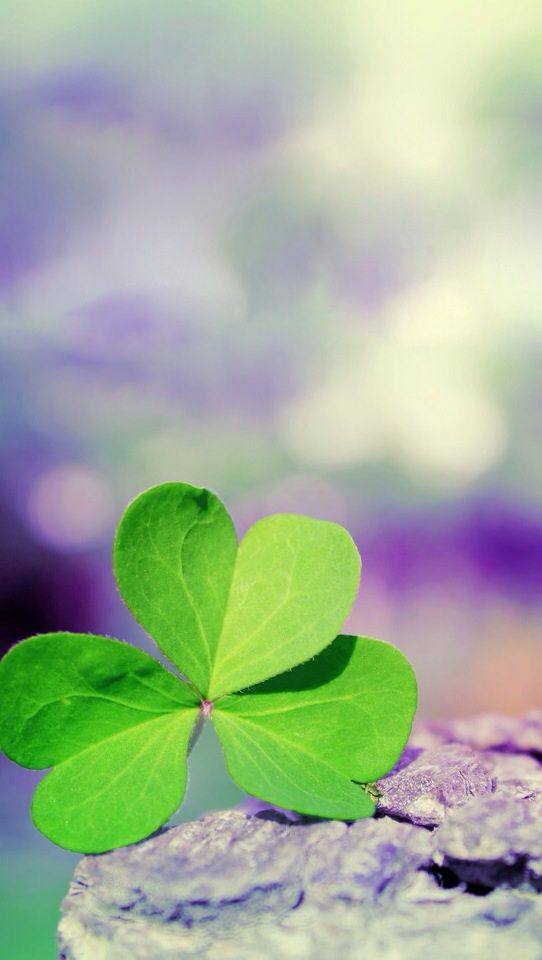 03 21のiphone壁紙 Iphone その他もろもろブログ