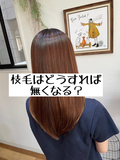 phonto_compressed