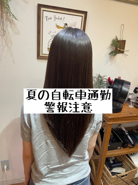 phonto_compressed