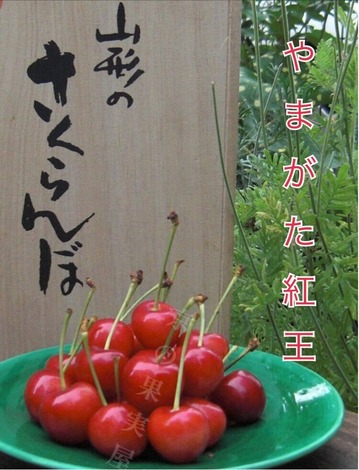 IMG-0518