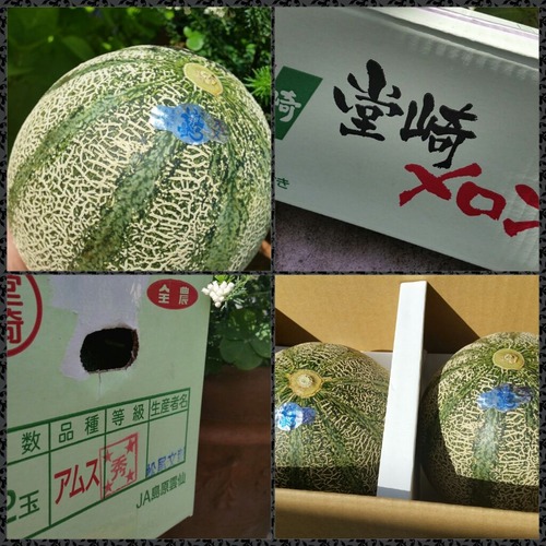 photoshake_1432191398279