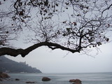DSC01298