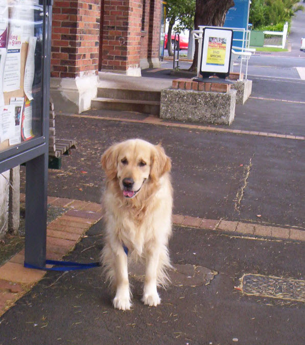 犬をお店の外に繋ぐ ルーシーのはじめての海外文通 犬をお店の外に繋ぐ ルーシーのはじめての海外文通
