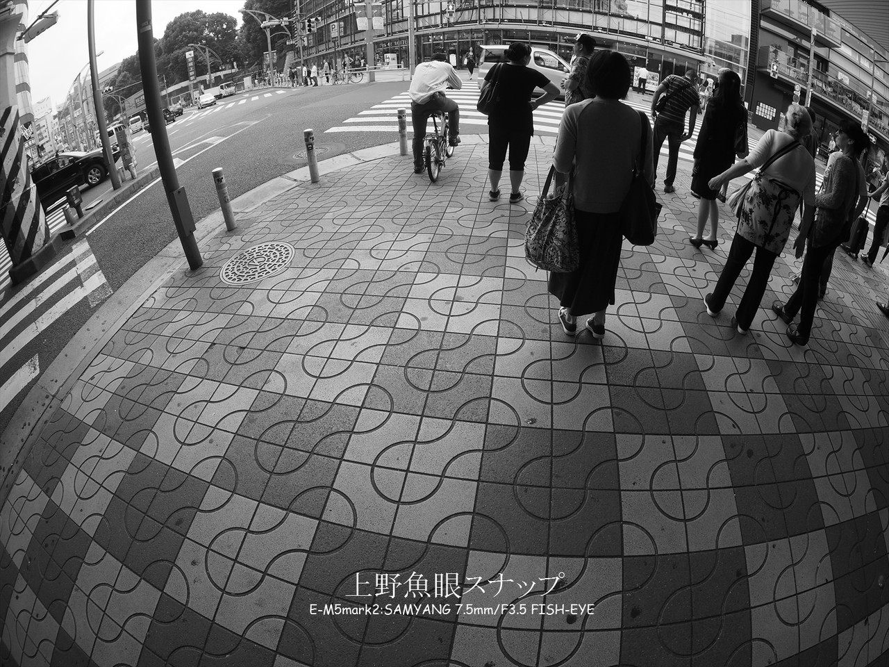 あなたならどっちを選ぶ 広角vs魚眼レンズ対決 Loverika ブログ