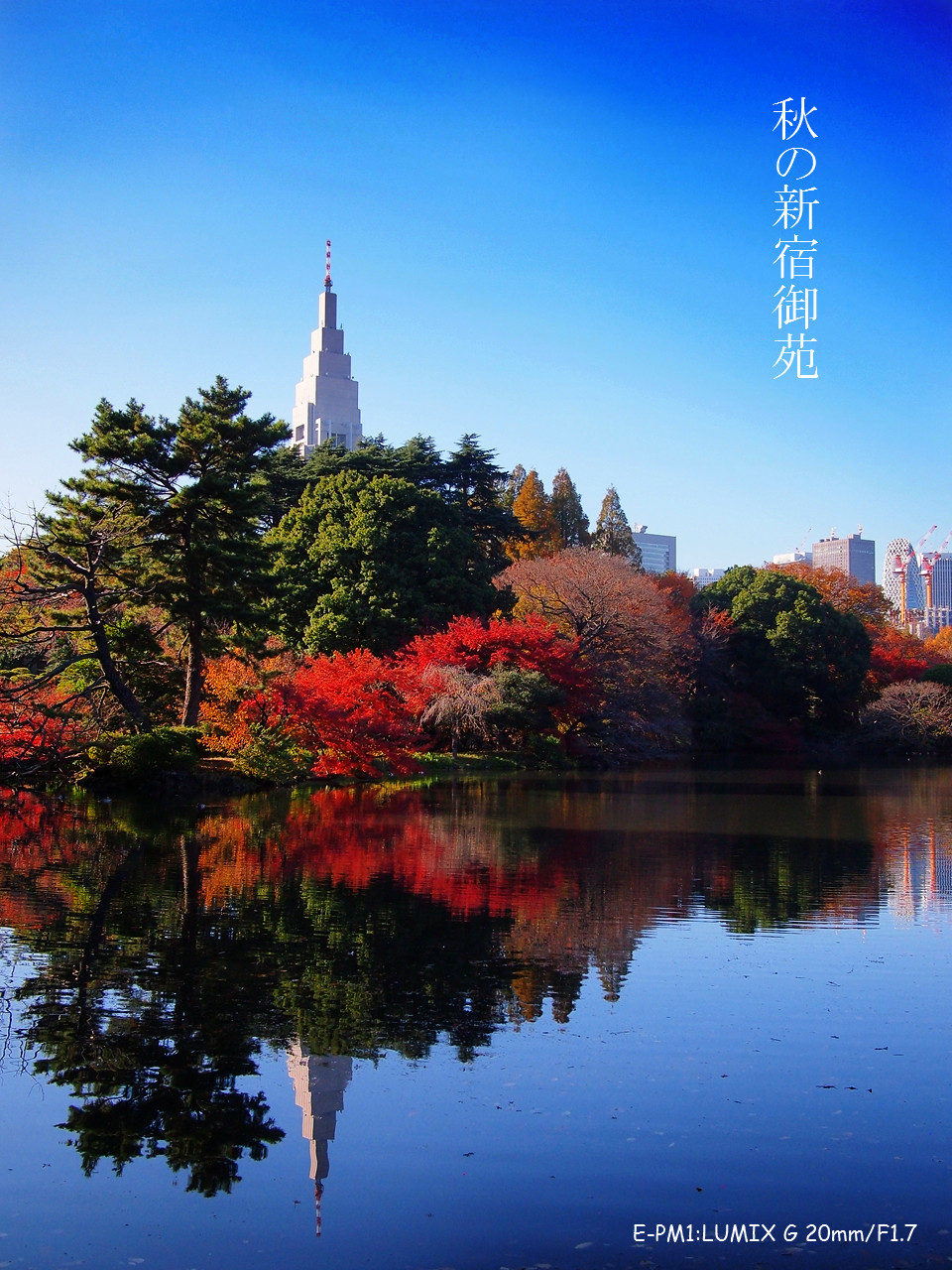 秋の新宿御苑は紅葉が素晴らしかった Loverika ブログ