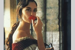 スペインの国花 カーネーション スペイン大好き