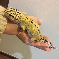 51CAA7D0-0BEB-4B80-ADE6-F86BB1C63E58