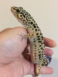 8099AC8D-88E1-4169-AD38-7C5FEDA0CD08