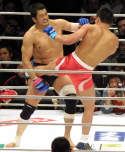高田延彦 プロレス名鑑