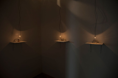 exhibitionview