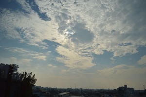 DSC_0018_R