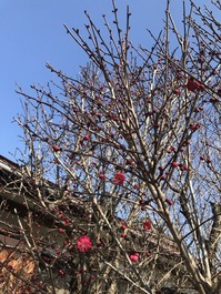 写真 2019-01-18 11 29 38