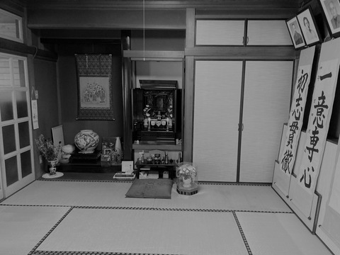 IMG_3731