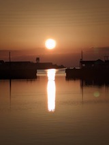 写真 2023-12-08 10 32 23