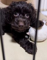 写真 2024-11-13 12 57 54 (1)