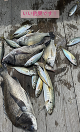 写真 2023-10-04 16 48 35