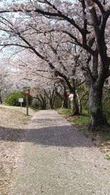 写真 2023-04-05 15 05 17 (2)