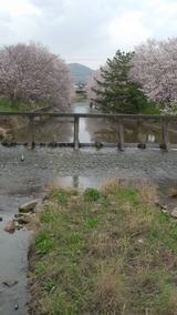 写真 2023-04-05 15 05 26