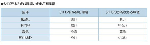 シロアリ環境