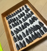 写真 2023-06-10 13 00 21