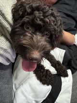 写真 2025-08-31 22 25 33