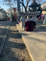 写真 2026-01-28 16 41 07 (5)