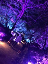 写真 2019-10-15 12 45 46