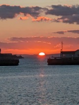 写真 2023-12-08 10 32 23 (1)