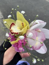 写真 2023-03-01 12 10 04