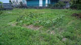 KIMG2244
