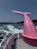 写真 2025-06-01 11 10 52