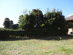 DSC02495