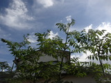 PA300009