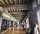 20250913_113008コピー