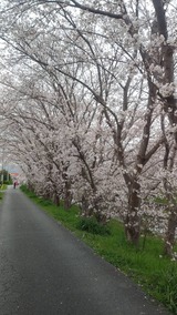 写真 2023-04-05 15 05 44