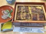 うなぎ2