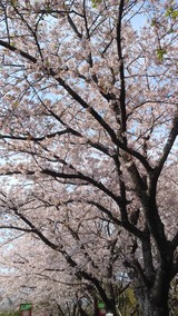 写真 2023-04-05 15 05 17 (3)