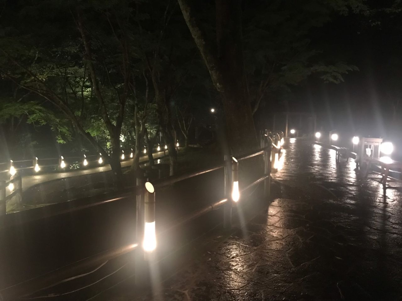 高千穂峡 竹灯籠ライトアップ いまむらモン日記 高千穂峡 竹灯籠ライトアップ いまむらモン日記