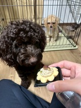 写真 2025-09-04 11 42 10