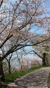 写真 2023-04-05 15 05 07 (2)