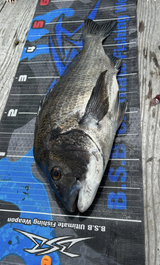 写真 2023-10-04 16 48 33