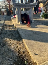 写真 2026-01-28 16 41 07 (3)