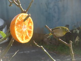 P2230026