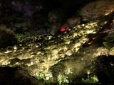 写真 2019-10-15 12 44 49