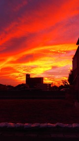 写真 2022-12-13 14 04 55