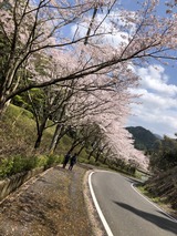 写真 2019-04-03 11 22 04