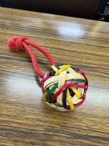 写真 2024-06-02 11 07 31