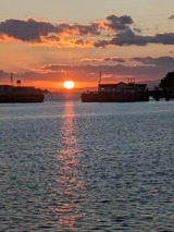 写真 2023-12-08 10 32 24 (1)